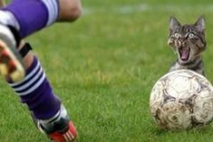 U19=2002/03: Gyenge jtkkal is nyert Lukcshzn